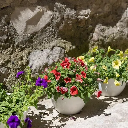 Old Town Patio Διαμέρισμα *